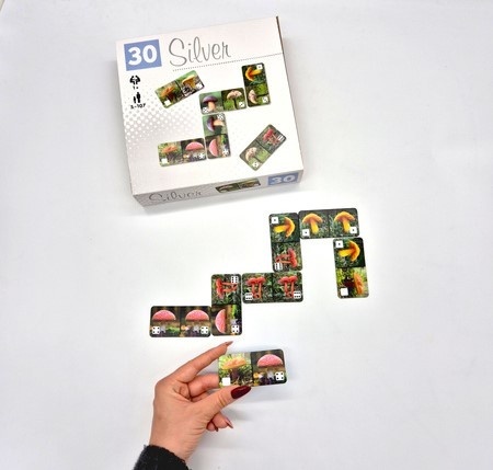Senior grający w domino terapeutyczne seria silver